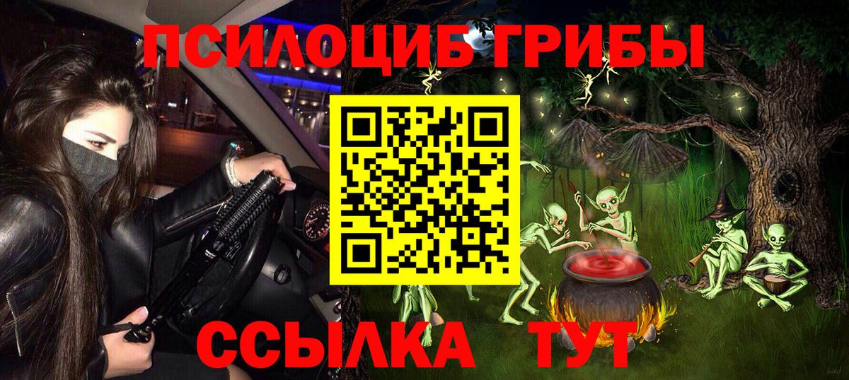 Галлюциногенные грибы Psilocybe Кумертау