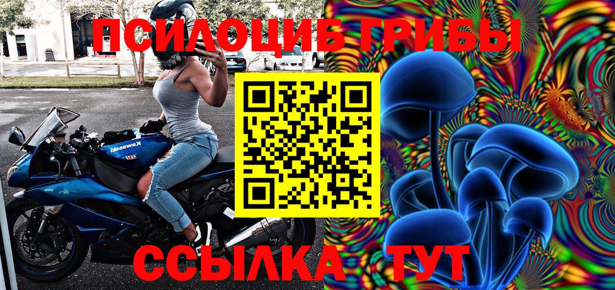 купить наркотики цена  Галлюциногенные грибы мицелий  Вход с VPN  Кумертау  Псилоцибиновые грибы Magic Shrooms 